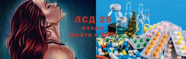 бошки Аркадак