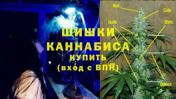 бошки Аркадак
