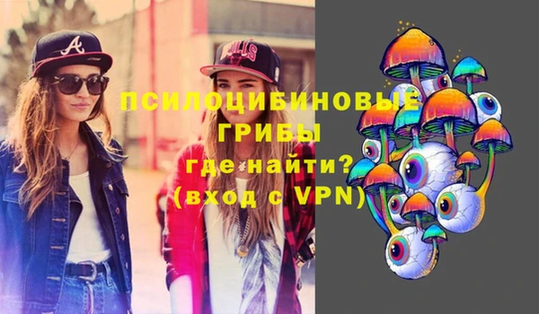 мдпв Арсеньев