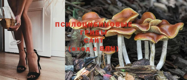 мдпв Арсеньев