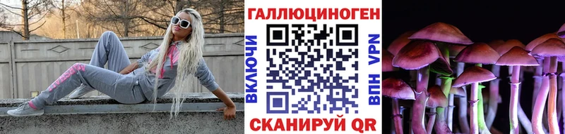 Псилоцибиновые грибы Psilocybine cubensis  Любань 